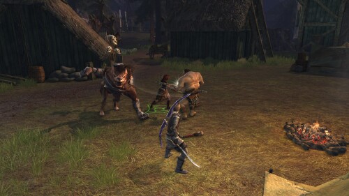 Nona verteidigt Elthengels gegen einen Angriff der Orks