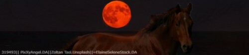 Blood Moon Mare Banner