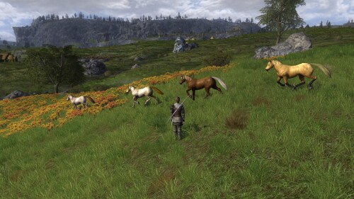 Herde Wildpferde in Rohan