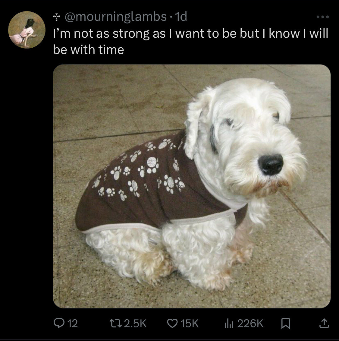 Screenshot of a tweet from @mourninglambs that says: I'm not as strong as I want to be but I know I will be with time. Underneath is an image of a little white dog wearing a brown shirt