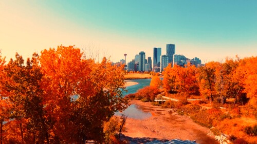 Free Pictures of Calgary by the Real Estate Partners REPCALGARYHOMES.CA20