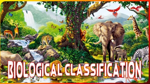 Biological Classification 001