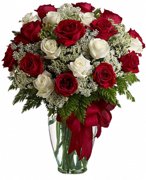 redroses zpsf92a4499