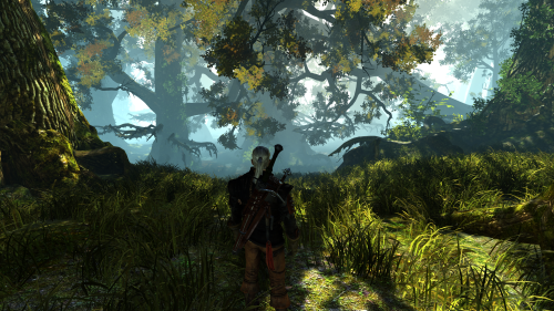The Witcher 2 Assassins of Kings Screenshot 2022.04.02 15.04.18.33