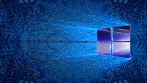 x windows back.