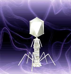 jB0T5a.png