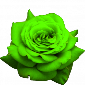 jY25I0.png