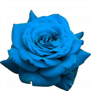 jY2GBD.png