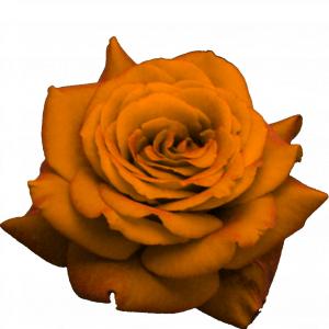 jY2xF3.png