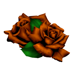jY828A.png