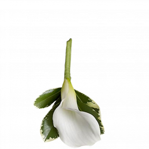 jY8QU9.png
