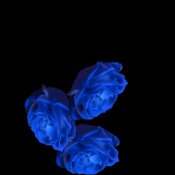 jY8TQZ