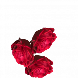 jY8gIH.png