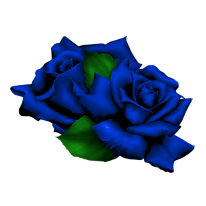 jY8jRe.png
