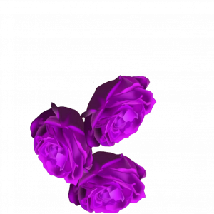 jY8kym.png