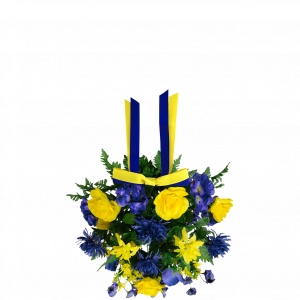 jlSREM.png