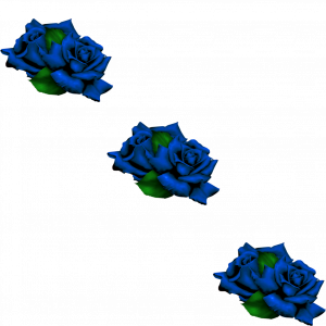 jnz6yD.png
