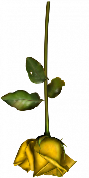 jnzrIb.png