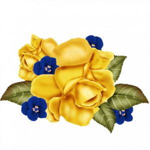 jnztm7.png