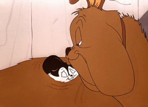 joaock.gif