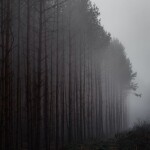kXBmtb