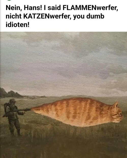 kZoXhb.jpeg