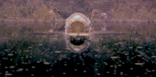 kdS3UK.gif