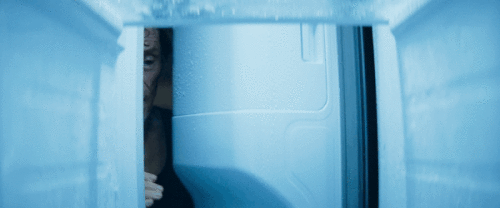 kmp23P.gif