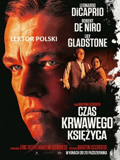 kot mateusz v424