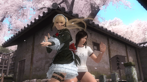 lyzT6F.png