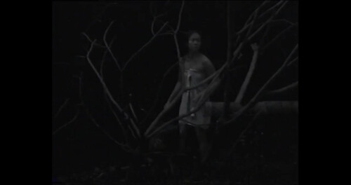 n2ZiLr.jpg