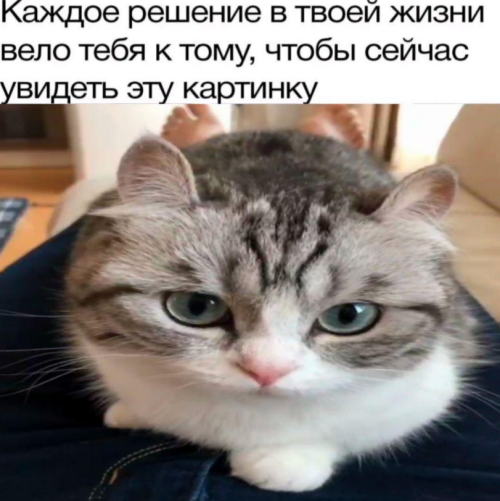 nFOtrq.png
