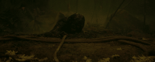 nFsazq.gif