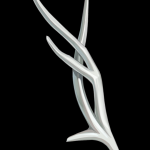 nN49ra