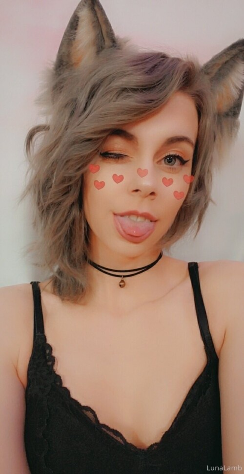 nOQWek.jpeg