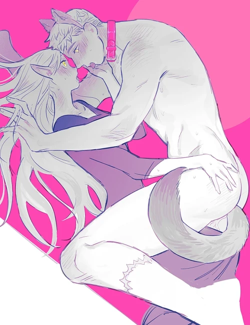 nR6P6M.webp
