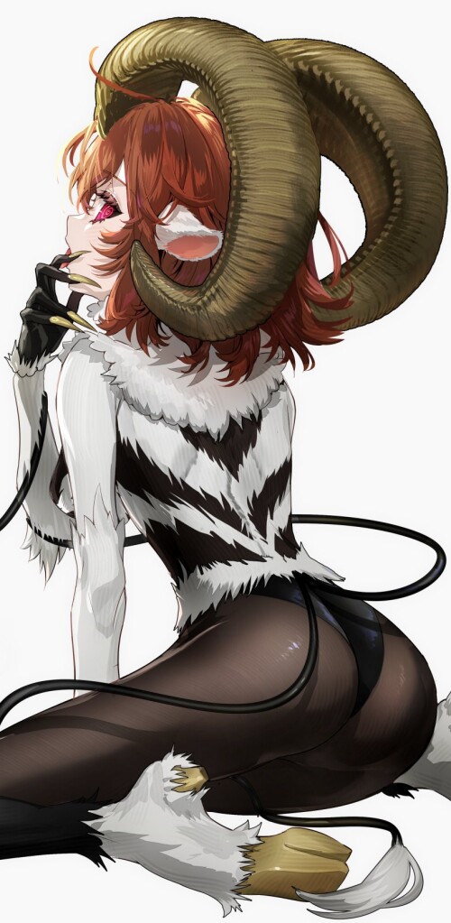 nozajr.jpg