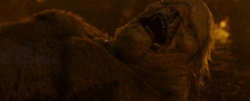 ntxwO9.gif