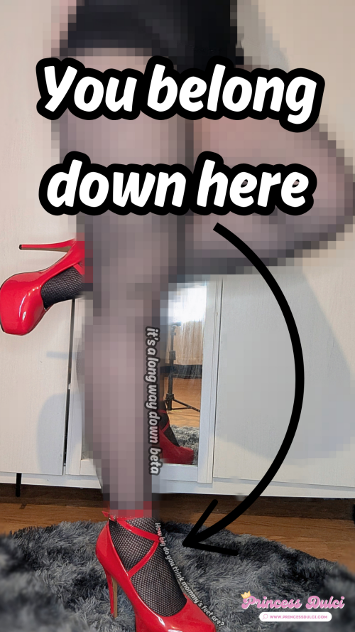 o6jx17.png