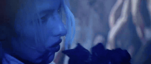 qUZZq7.gif