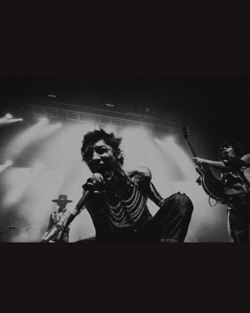 remingtonleith 274171032 680660463356521 6388657741412987905 n