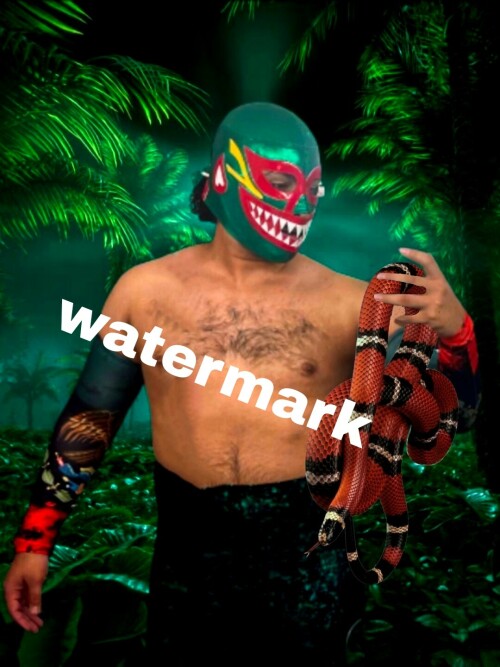 r7s0kk.jpg