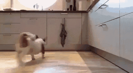 rkjt9k.gif
