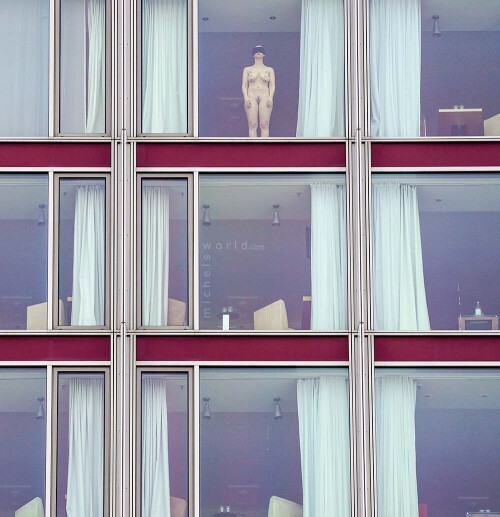 window