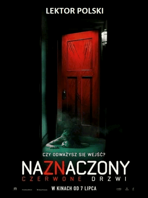 kot_mateusz v368