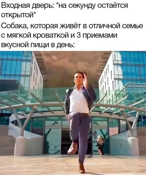 snBEgT.jpeg