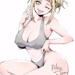 syHISK