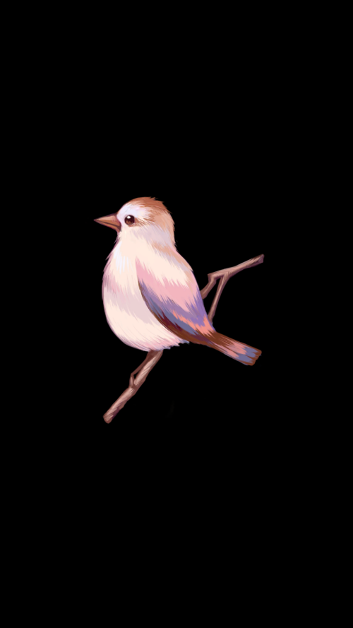 t3ekx2.png