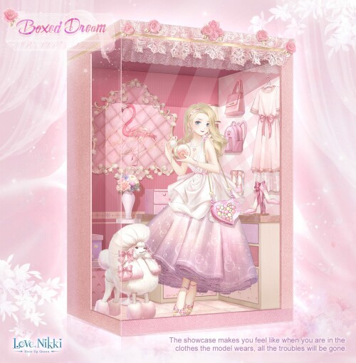 Boxed Dream 00