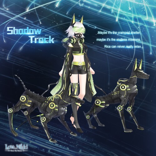 Shadow Track 02